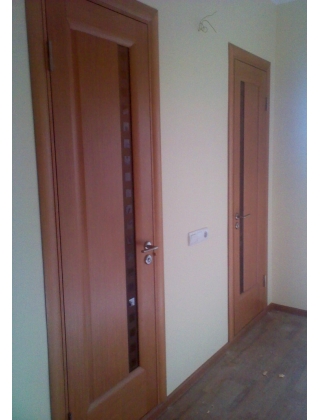 Дверь «Агава» размером 550 на 1900 мм