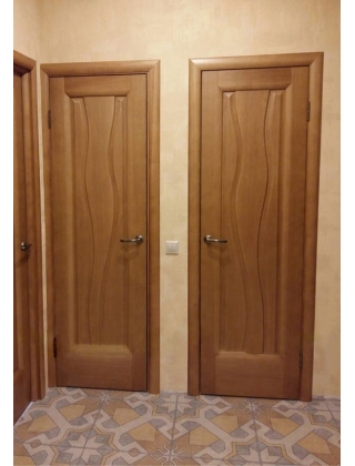 Дверь «Агинора» размером 550 мм х 1900 мм